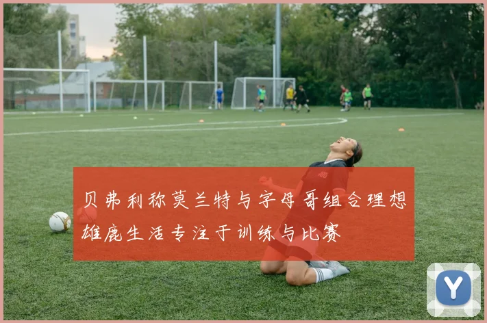 贝弗利称莫兰特与字母哥组合理想雄鹿生活专注于训练与比赛