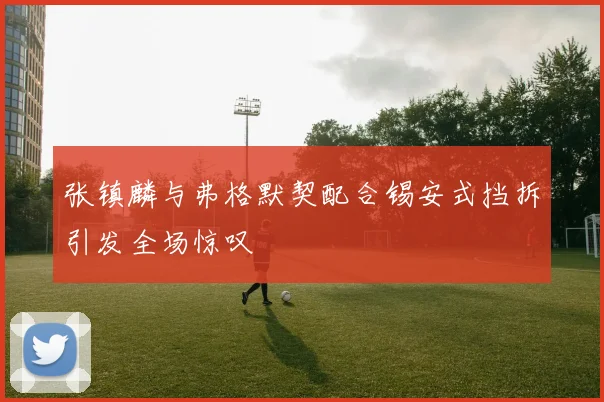 张镇麟与弗格默契配合锡安式挡拆引发全场惊叹