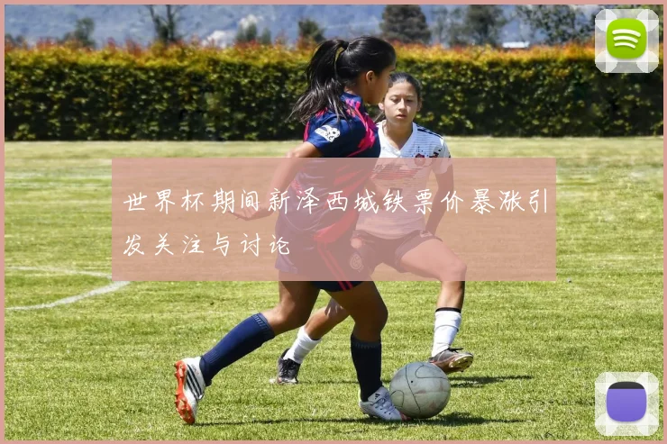 世界杯期间新泽西城铁票价暴涨引发关注与讨论